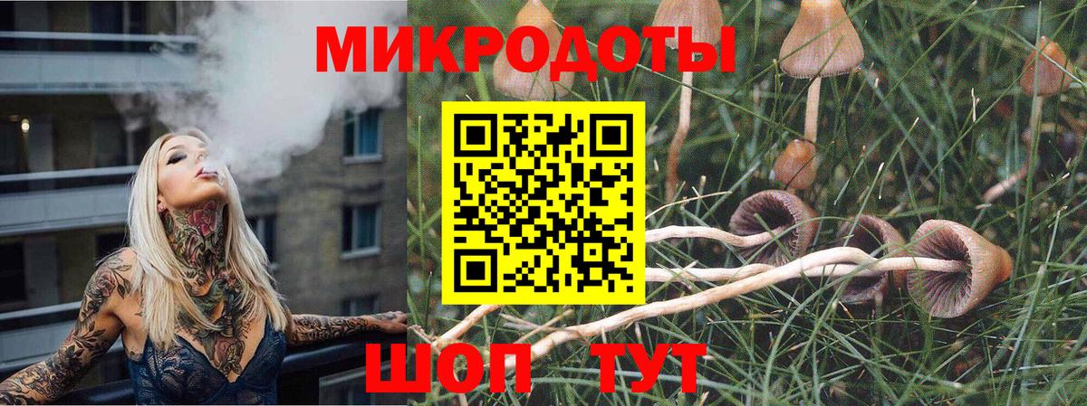 Ирбит  Псилоцибиновые грибы MAGIC MUSHROOMS  купить наркотик  Вход с VPN 